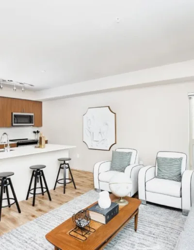 A living room and kitchen in a modern apartment.