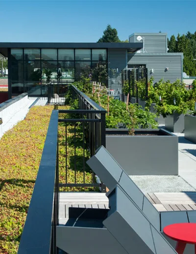 A green roof on a building.