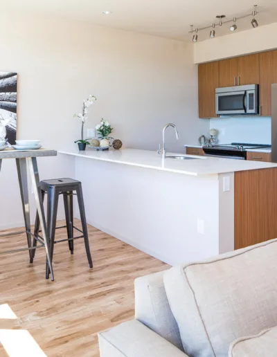 A living room and kitchen in a modern apartment.