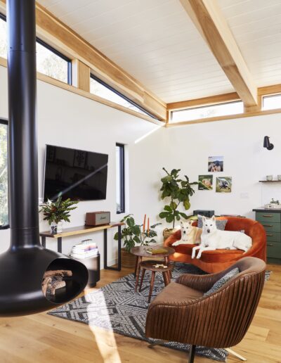 A modern living room with a hanging fireplace, flat-screen TV, orange sofa with two dogs, brown armchair, desk, houseplants, and large windows.